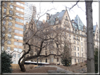 foto Central Park in Inverno